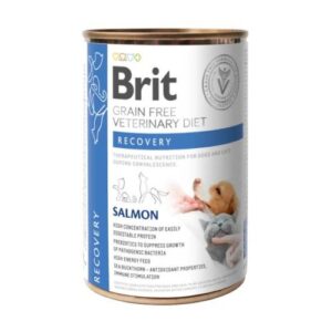 Brit BRIT VD Dog + Cat Can - Recovery