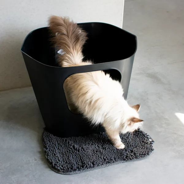 DEAN - Open kattenbak 54,4x43,9x40,5cm - display zwart