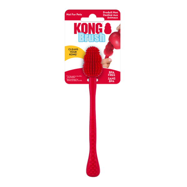 KONG Brush