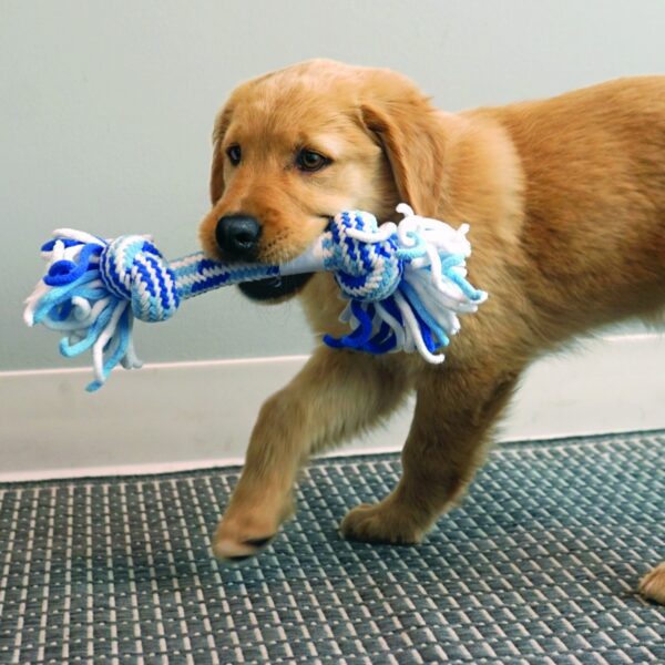 KONG Rope Stick Puppy