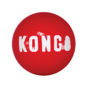 KONG Signature Balls 2-pk