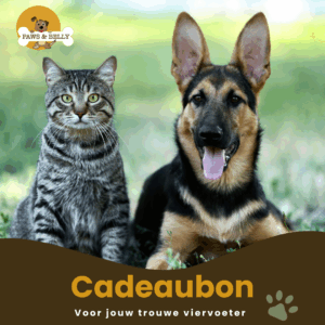 Cadeaubon - € 50