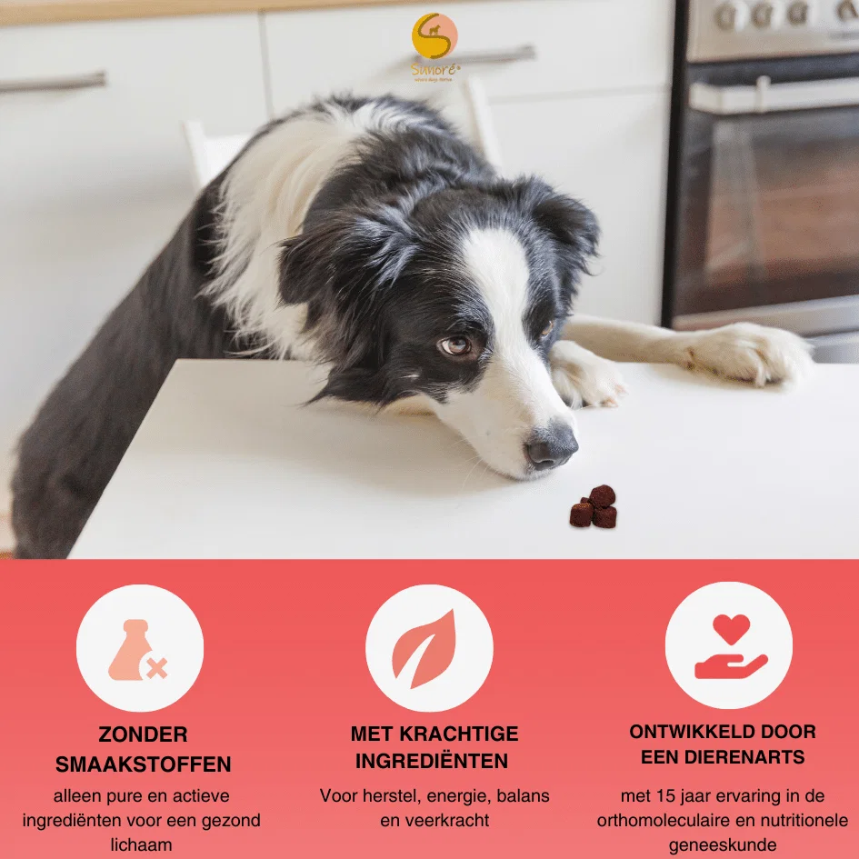 Power of Nature’s Beat – daily topper en multivitamine – voor een lang en gezond leven
