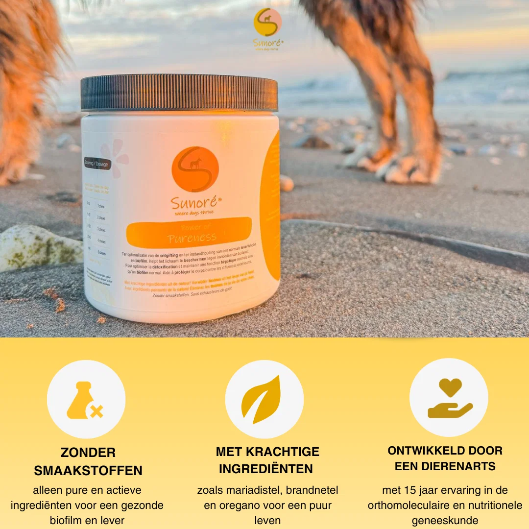 Power of Pureness – leverondersteuning en gezonde biofilm voor honden